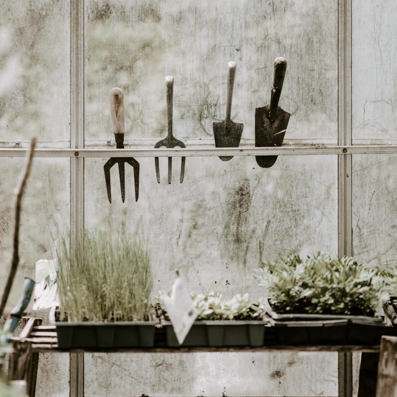 Natuur_detail