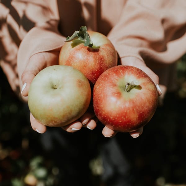 Appels_400x400